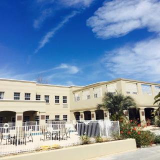 A modern building with a clear blue sky and palm trees in front.