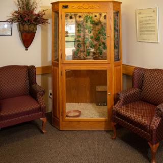 A cozy waiting area featuring plush chairs and a wooden display cabinet with plants.