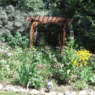 A lush garden with a wooden pergola surrounded by various flowering plants and greenery.