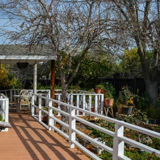 A peaceful garden pathway with a white fenced walkway leading to a pergola surrounded by lush greenery.
