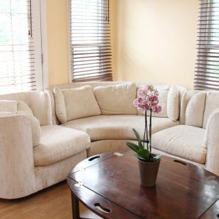 A cozy living room with a cream sectional sofa and a wooden coffee table adorned with an orchid.