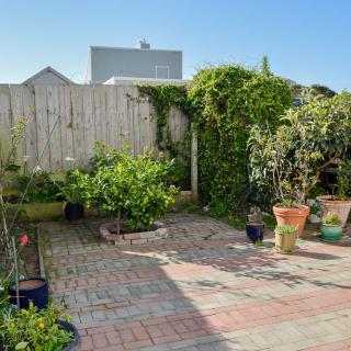 A sunny garden patio with potted plants and a wooden fence.