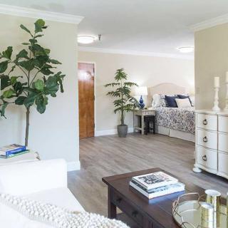 A cozy living space with a blend of living and bedroom areas, featuring stylish furniture and indoor plants.