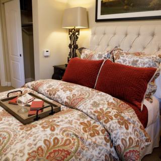 A cozy bedroom with patterned bedding and decorative pillows, featuring a bedside lamp and a tray on the bed.