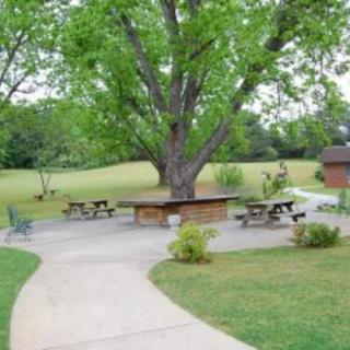 A peaceful park with a large tree, picnic tables, and lush greenery.
