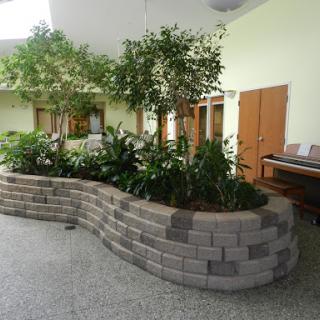 A serene indoor garden featuring lush plants and a decorative stone wall, enhancing the tranquility of the space.