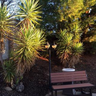 A serene garden scene with a bench, lamp post, and sunlit plants.