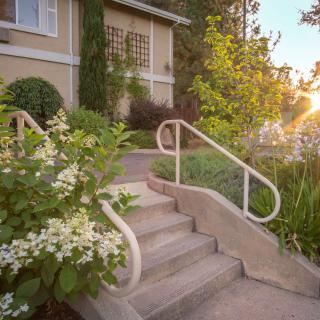 Sunlit garden with steps leading to a cozy home entrance.