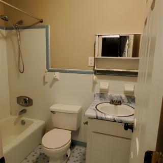A small bathroom with a combined shower and bathtub, toilet, sink, and mirror.