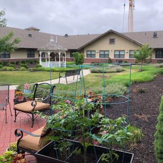 A peaceful courtyard garden with benches and neatly arranged vegetable plants in front of a building.