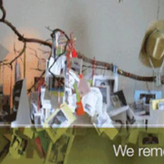 A personalized memorial display with photos and memorabilia on a tree branch.