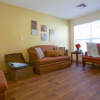 A cozy living room with warm-toned furniture and abundant natural light.