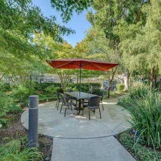 A serene outdoor garden space featuring a shaded table and chairs under a vibrant umbrella, surrounded by lush greenery.