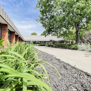 A view of a landscaped pathway lined with plants and trees, leading to a building.