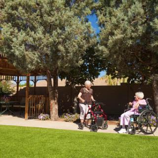 Two elderly individuals enjoying time outdoors in a garden setting, one using a wheelchair and the other assisting.