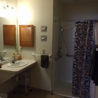 A bathroom featuring a sink, mirror, and shower with a patterned curtain.