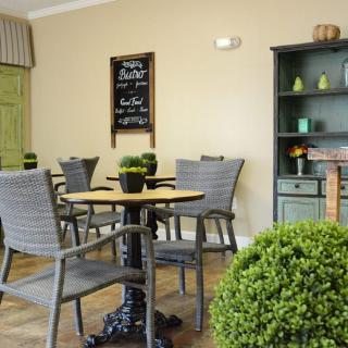 Cozy cafe interior with stylish furniture and decorative plants.
