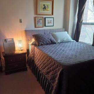 A cozy bedroom featuring a neatly made bed with decorative pillows, a nightstand with a lamp, and framed artwork on the wall.