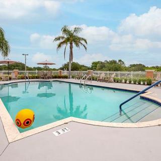 A tranquil swimming pool surrounded by palm trees under a clear sky, perfect for a relaxing vacation.