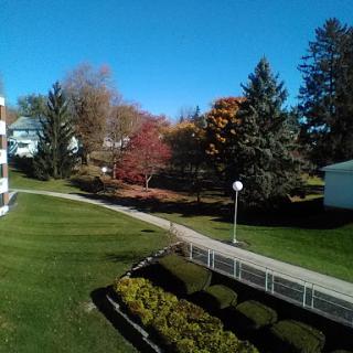 A scenic view of a park during autumn, showcasing vibrant foliage against a clear blue sky.