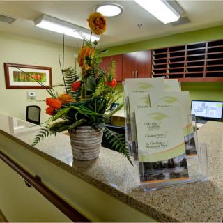 A welcoming office reception area with a floral arrangement and brochures on the desk.