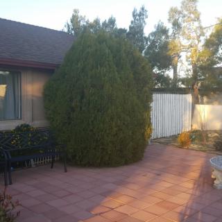 A peaceful backyard patio with a bench, trees, and a fence.