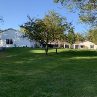 A peaceful residential area with a spacious lawn and trees on a sunny day.