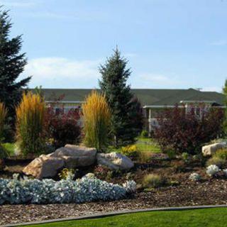 A beautifully landscaped garden featuring various trees, shrubs, and boulders under a clear blue sky.