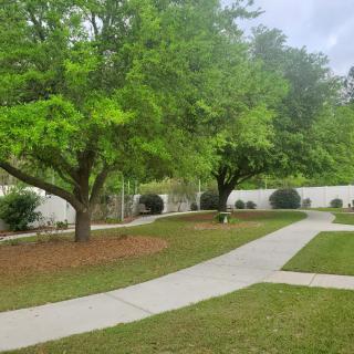 A serene garden with lush green trees and a winding pathway.