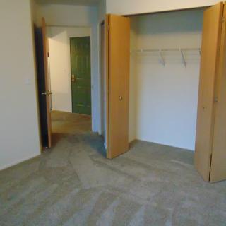 An empty room with an open closet and carpeted floor.