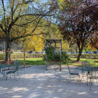 A serene park scene featuring seating arrangements surrounded by vibrant autumn trees.