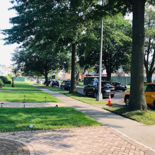 A sunny street lined with trees, featuring a sidewalk and parked cars.