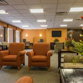 A cozy lobby with orange armchairs and plants.