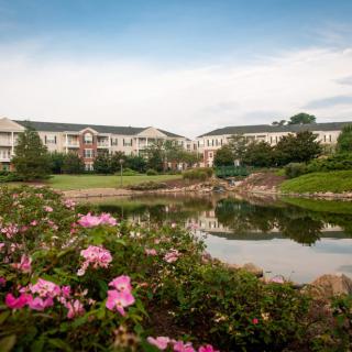 A serene garden scene with pink flowers by a pond, reflecting buildings and a cloudy sky.