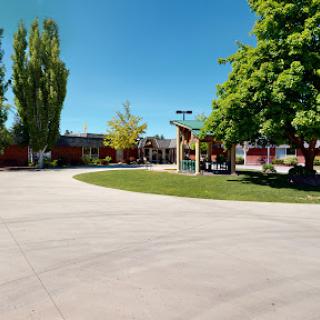 A sunny day at a school playground, featuring lush green trees and an inviting open space.