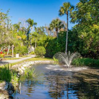 A tranquil park scene featuring a pond with a fountain, surrounded by lush greenery and trees.