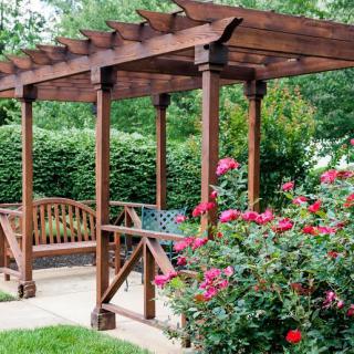 A wooden pergola in a garden with roses and benches underneath.