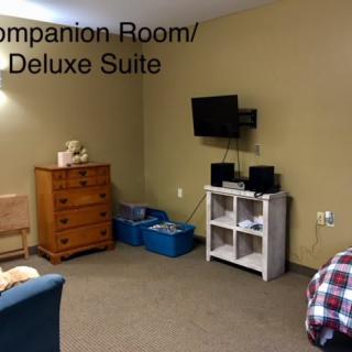 Interior of a companion room/deluxe suite with furniture and television.