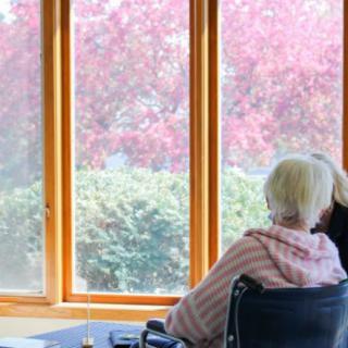 An elderly person in a wheelchair looks out a window at the vibrant nature scenery.