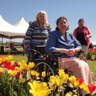 A sunny day in the garden with vibrant tulips and people enjoying the outdoors.