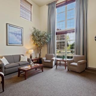 A spacious living room with high ceilings, featuring a comfortable sofa and chairs, a coffee table, a large window with curtains, and decorative elements including a plant and artwork.