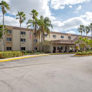 A sunny exterior view of a hotel with palm trees and an inviting entrance.