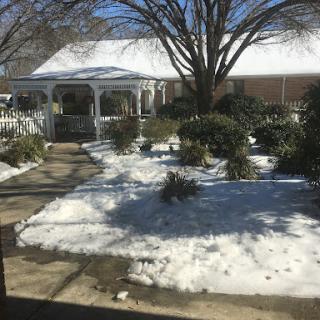 A serene winter scene featuring a garden with snow, a gazebo, and bare trees.