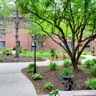 A serene courtyard with pathways surrounded by lush greenery and mature trees.