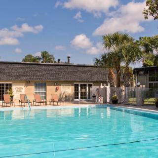 A serene outdoor swimming pool with lounge chairs and palm trees under a partly cloudy sky.