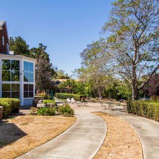 A sunny outdoor garden area with a winding pathway, surrounded by trees and buildings.