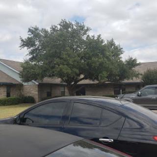 A view of parked cars with a large tree and a building in the background under a cloudy sky.