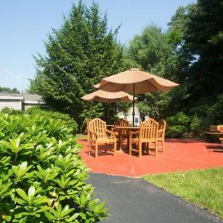 A sunny outdoor patio with wooden furniture and umbrellas set in a garden.