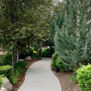 A scenic pathway surrounded by lush greenery and trees.