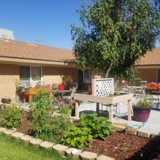 A sunny backyard featuring a garden with various plants and a small patio area.